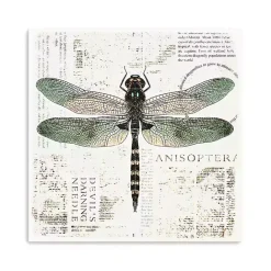 Outlet Kirklands Home Green Dragonfly Canvas Art Print
