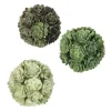 Discount Kirklands Home Green Echeveria Orbs, Set of 3