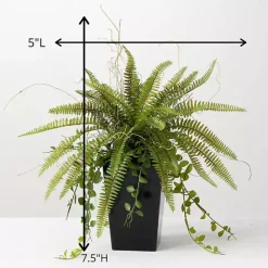 Sale Kirklands Home Fern Plant in Black Pot Green