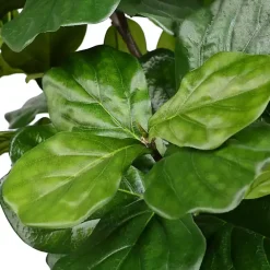 Online Kirklands Home Green Fiddle Leaf Tree in Distressed Pot