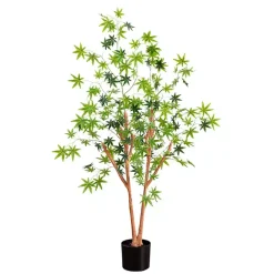 Best Kirklands Home Green Maple Tree in Black Planter