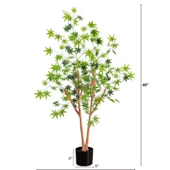 Best Kirklands Home Green Maple Tree in Black Planter