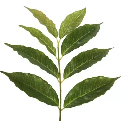 Clearance Kirklands Home Green Nandina Potted Tree, 4 ft.