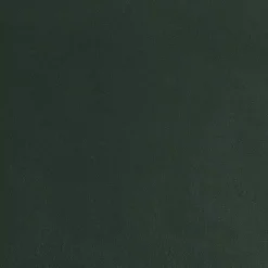 Kirklands Home Velvet Upholstered Knox Accent Chair Green