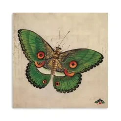 Hot Kirklands Home Green Vintage Butterfly Canvas Art Print