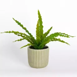 Outlet Kirklands Home ery Plant in Ribbed Ceramic Pot Green