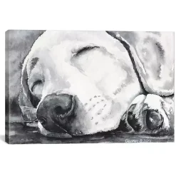 Sale Kirklands Home Happy Dreams Dog Giclee Canvas Art Print, 26x18 Gray