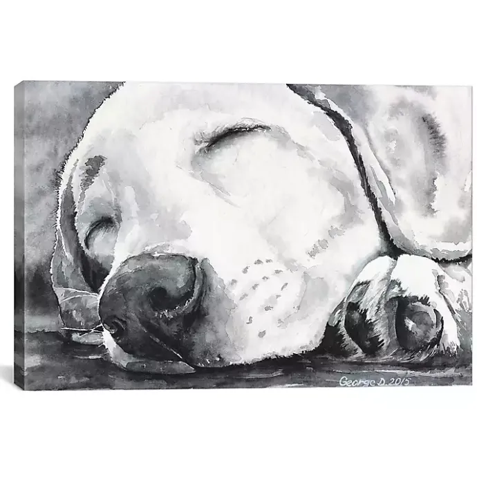 Sale Kirklands Home Happy Dreams Dog Giclee Canvas Art Print, 26x18 Gray