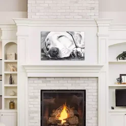 Sale Kirklands Home Happy Dreams Dog Giclee Canvas Art Print, 26x18 Gray