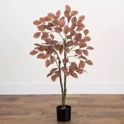 Clearance Kirklands Home Harvest Dogwood Tree in Nursery Planter, 3.5 ft.