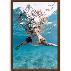 Outlet Kirklands Home Hello Turtle Framed Canvas Art Print