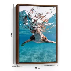 Outlet Kirklands Home Hello Turtle Framed Canvas Art Print