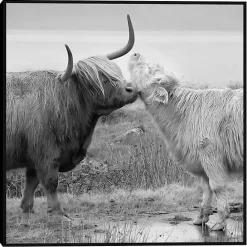 Clearance Kirklands Home Highland Courting Framed Canvas Art Print Gray