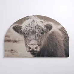 Sale Kirklands Home Highland Cow Arched Canvas Art Print Brown