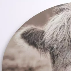 Sale Kirklands Home Highland Cow Arched Canvas Art Print Brown