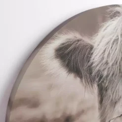 Sale Kirklands Home Highland Cow Arched Canvas Art Print Brown