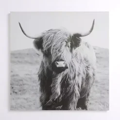 Discount Kirklands Home Highland in the Wild Canvas Art Print Gray