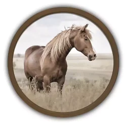 Clearance Kirklands Home Horse Pasture Round Framed Art Print