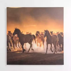 Outlet Kirklands Home Horses Running Wild Canvas Art Print Brown
