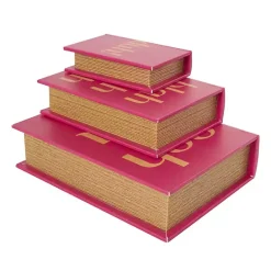 Kirklands Home Hot Pink Ooh La La Book Boxes, Set of 3