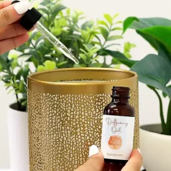 Online Kirklands Home Hotel 2-Pack Essential Oil