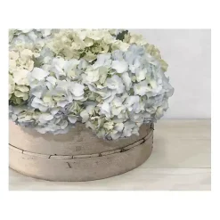 Clearance Kirklands Home Hydrangea Cluster Canvas Art Print