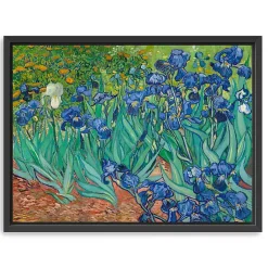 Discount Kirklands Home Irises Framed Canvas Art Print, 26x20 in.