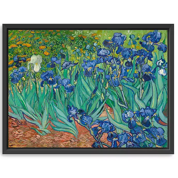 Discount Kirklands Home Irises Framed Canvas Art Print, 26x20 in.