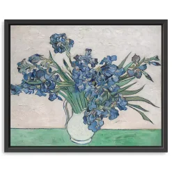 Discount Kirklands Home Irises II Framed Canvas Art Print, 22x18 in.
