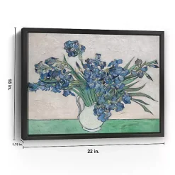 Discount Kirklands Home Irises II Framed Canvas Art Print, 22x18 in.
