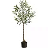 Sale Kirklands Home Italian Olive Tree in Black Nursery Planter, 4 ft.