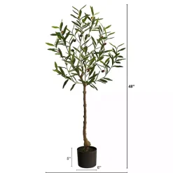 Sale Kirklands Home Italian Olive Tree in Black Nursery Planter, 4 ft.