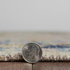 Sale Kirklands Home Ivory and Blue Traditional Floral Area Rug, 5x7