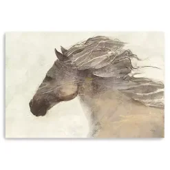 Clearance Kirklands Home Ivory Into the Wind Canvas Art Print, 60x40 in.
