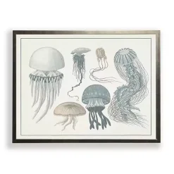 Sale Kirklands Home Jellyfish Collage Bronze Framed Art Print
