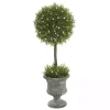 Clearance Kirklands Home Juniper Ball Tree in Pedestal Urn