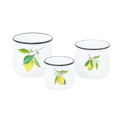 Kirklands Home Lemon Blossom Enamel Jars, Set of 3