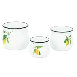 Kirklands Home Lemon Blossom Enamel Jars, Set of 3