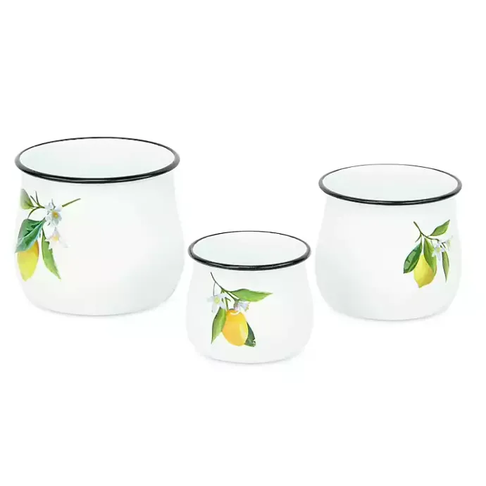 Kirklands Home Lemon Blossom Enamel Jars, Set of 3