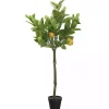 Best Kirklands Home Lemon Fruit Tree in Black Pot
