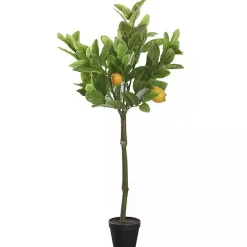 Best Kirklands Home Lemon Fruit Tree in Black Pot