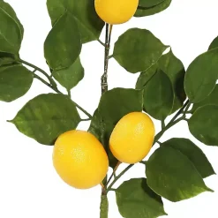 Best Kirklands Home Lemon Leaf Spray Stems, Set of 4
