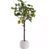 Sale Kirklands Home Lemon Tree in White Pot