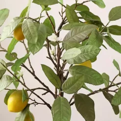 Sale Kirklands Home Lemon Tree in White Pot