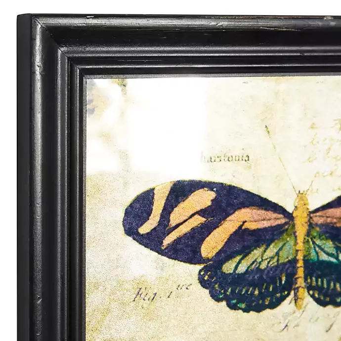 Online Kirklands Home Literary Butterflies Framed Art Prints, Set of 2