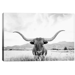 Hot Kirklands Home Longhorn Giclee Canvas Art Print