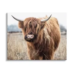 Kirklands Home Longhorn in Tall Grass Canvas Art Print, 40x30 in. Brown