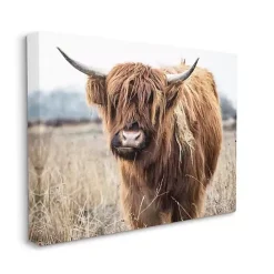 Kirklands Home Longhorn in Tall Grass Canvas Art Print, 40x30 in. Brown