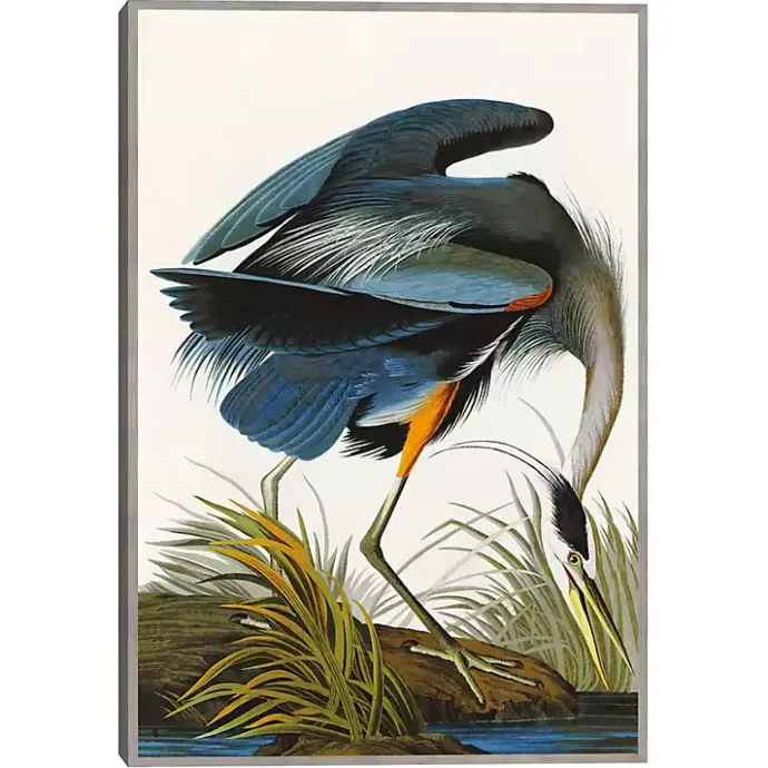 Online Kirklands Home Louisiana Heron Framed Canvas Art Print Multi