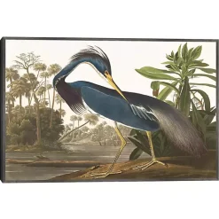 Outlet Kirklands Home Louisiana Heron Framed Canvas Art Print